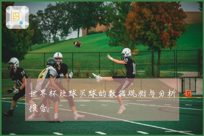 世界杯让球买球的数据观测与分析报告