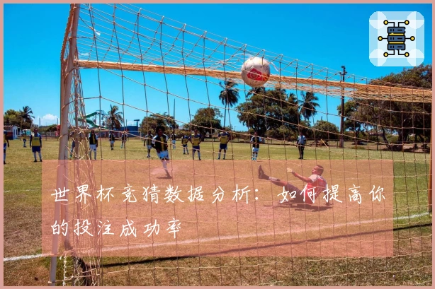 世界杯竞猜数据分析：如何提高你的投注成功率