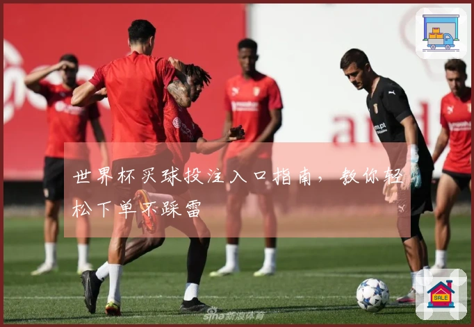世界杯买球投注入口指南，教你轻松下单不踩雷