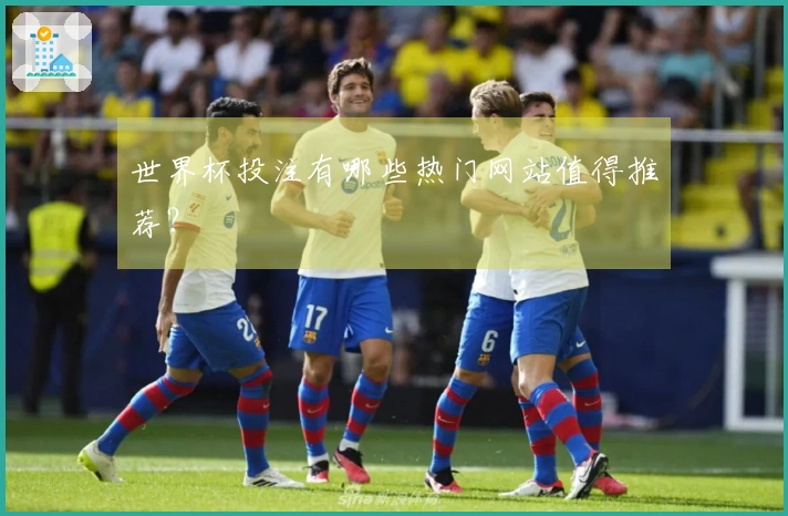 世界杯投注有哪些热门网站值得推荐？