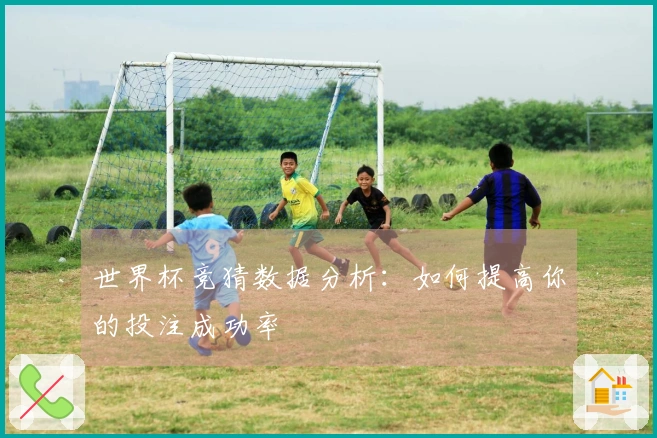世界杯竞猜数据分析：如何提高你的投注成功率